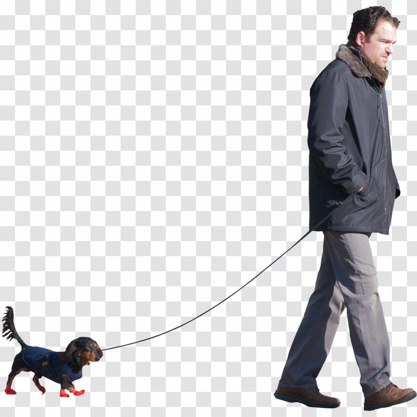 Dog Walking Puppy Walks Man: A Six-Legged Odyssey - Man Sitting Transparent PNG