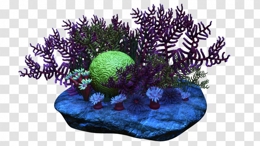 Coral Reef Clip Art Transparent PNG
