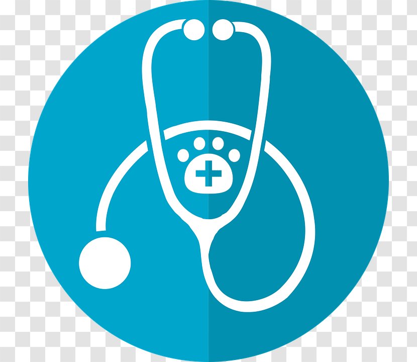 Physician Eye Care Professional Health Medicine - Stethoscope Transparent PNG