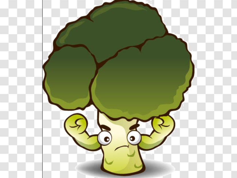 Broccoli Cartoon Vegetable - Organism - Cabbage Transparent PNG