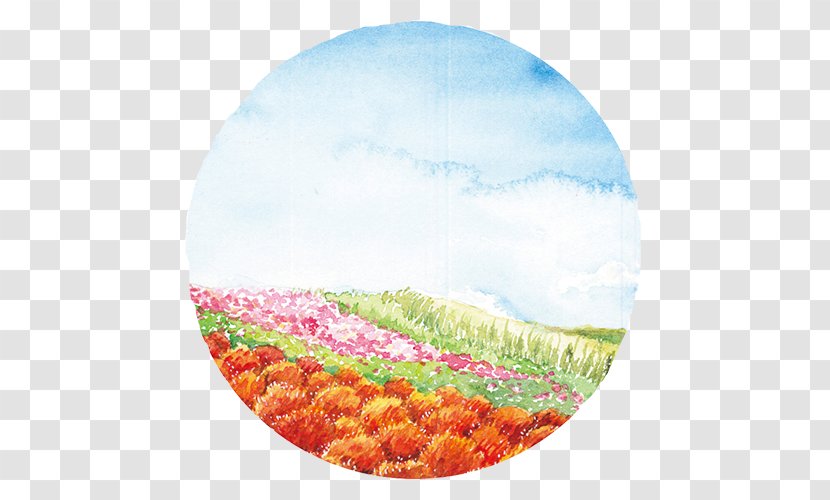 Petal Ecoregion Circle - Field - Color Transparent PNG