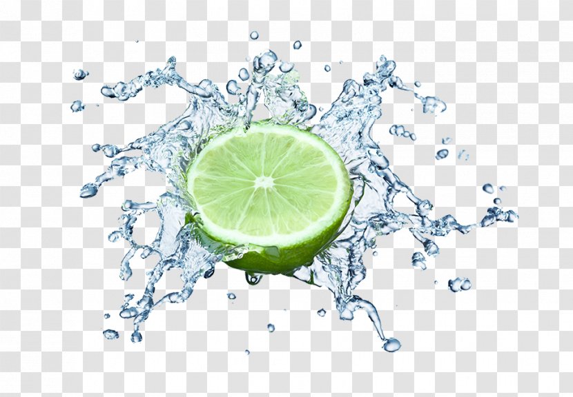 Juice Lemonade Liquid - Lemon - Ice Transparent PNG