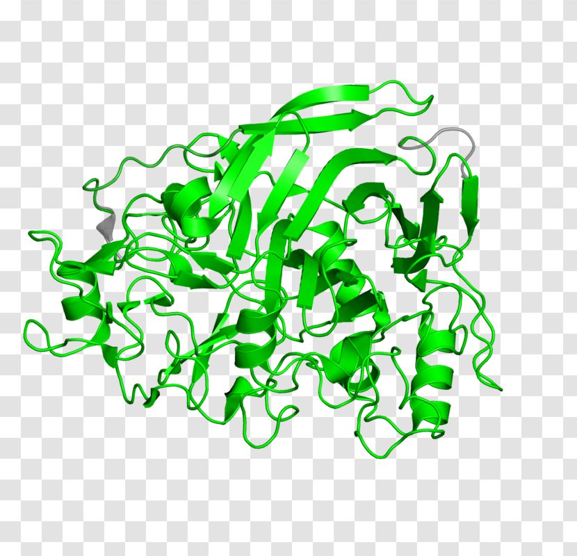 Green Clip Art - Organism - Design Transparent PNG