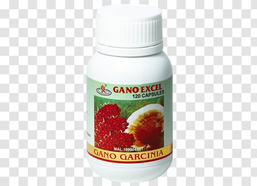 Garcinia Cambogia Dietary Supplement Weight Loss Lingzhi Mushroom - Health - Diet For Transparent PNG