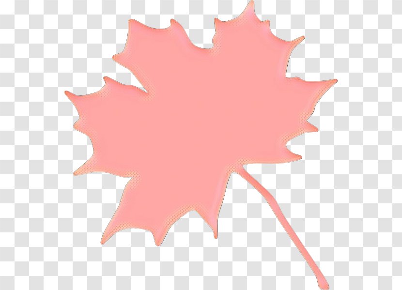 Canada Maple Leaf - Plane - Perennial Plant Transparent PNG