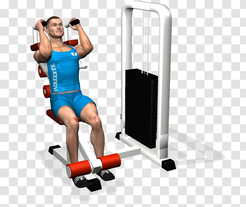 Crunch Physical Fitness Shoulder Rectus Abdominis Muscle Abdominal External Oblique - Heart - Exercise Machine Transparent PNG