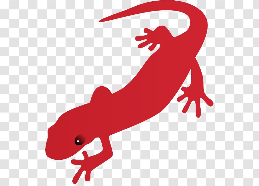 Clip Art Gecko True Salamanders And Newts Lizard Newt - Reptile Tail Transparent PNG