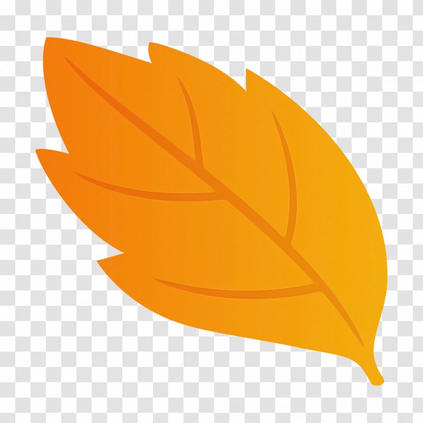 Orange - Tree - Logo Transparent PNG