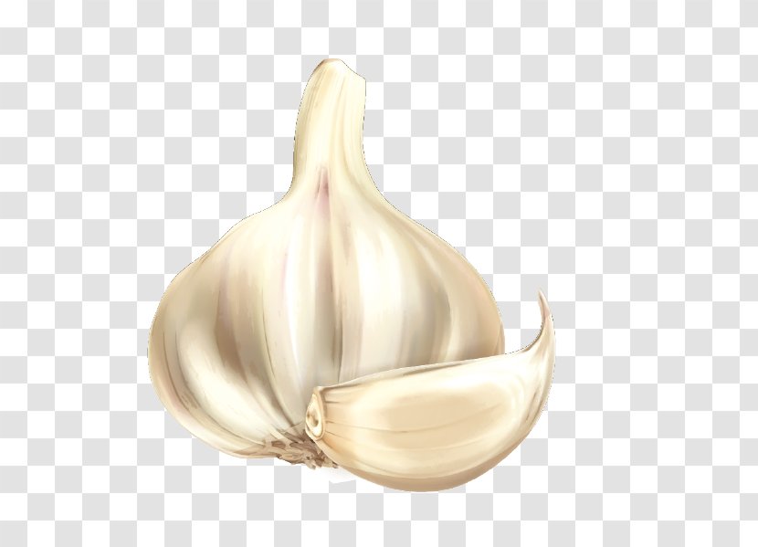 Garlic Cartoon Vegetable - Onion Transparent PNG