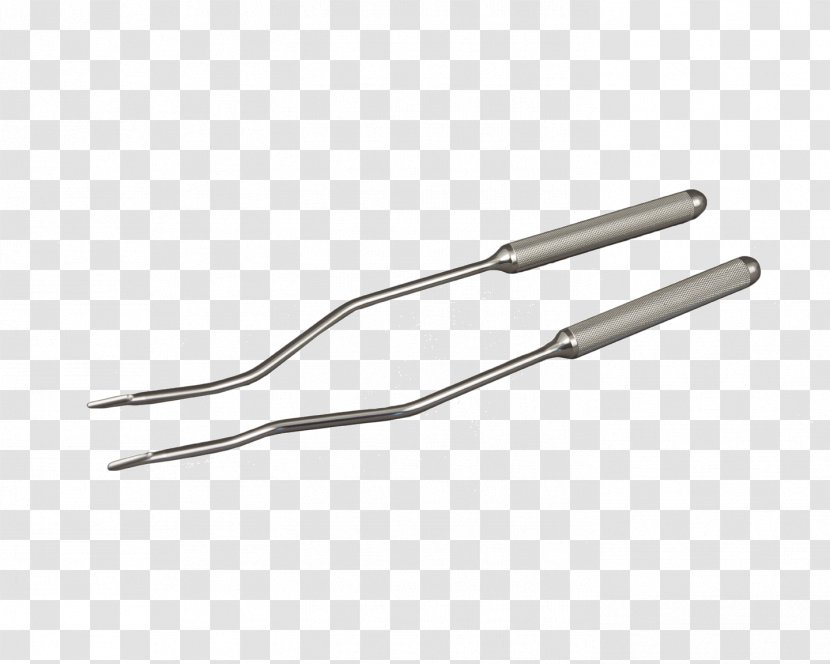 Veterinarian Dental Instruments Dog Veterinary Dentistry Wolf Tooth - Horse Transparent PNG