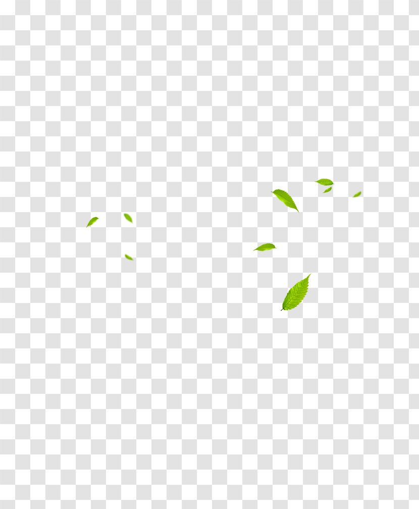 Material Pattern - White - Green Leaves Transparent PNG