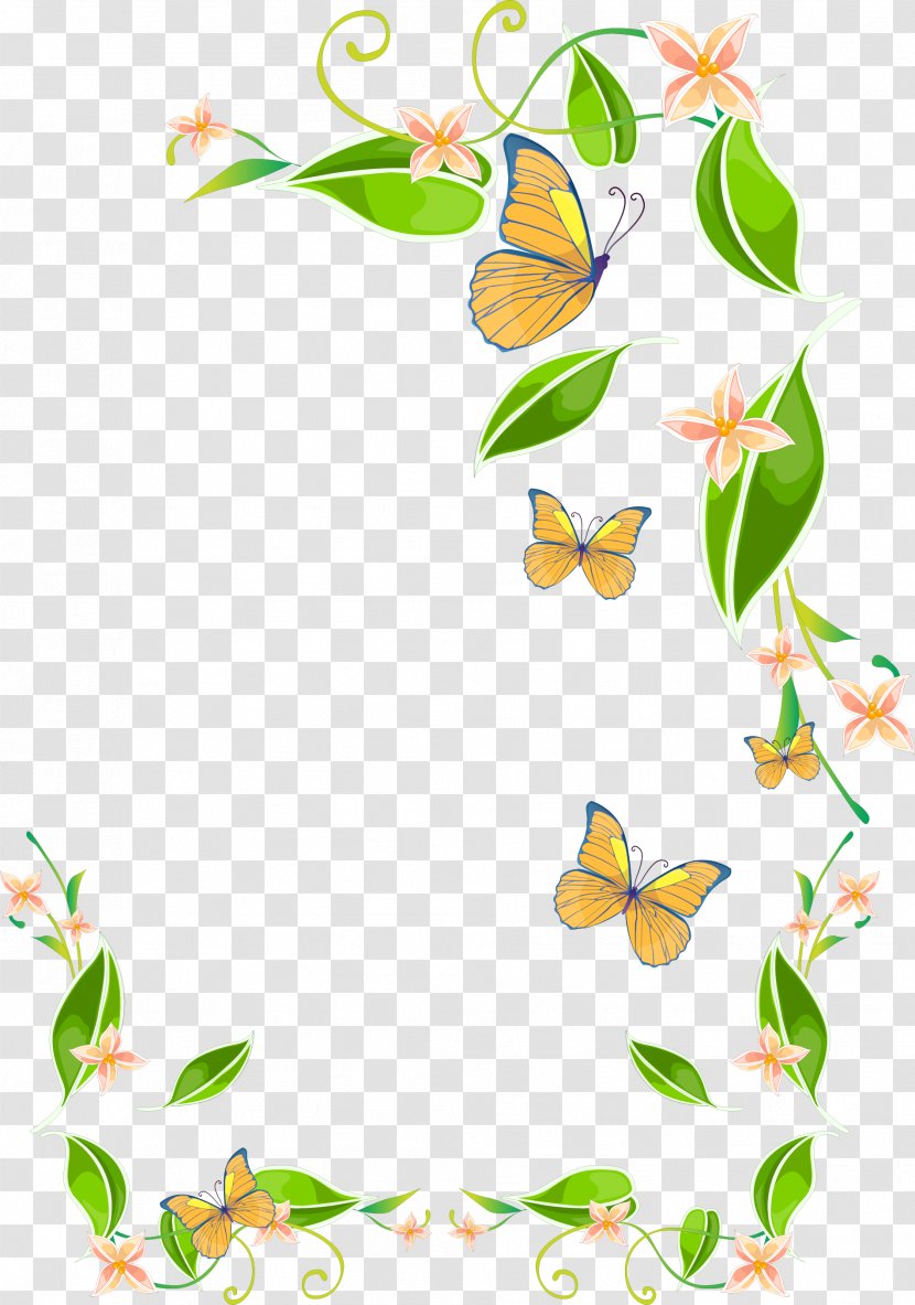 Auglis - Butterfly - Design Transparent PNG