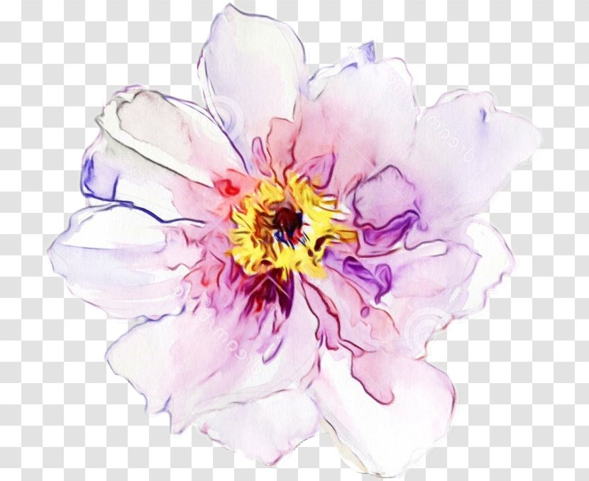 Watercolor Pink Flowers - Violet - Chinese Peony Wildflower Transparent PNG