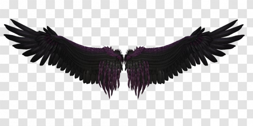 DeviantArt Wallpaper - Beak - Black Wings Transparent PNG