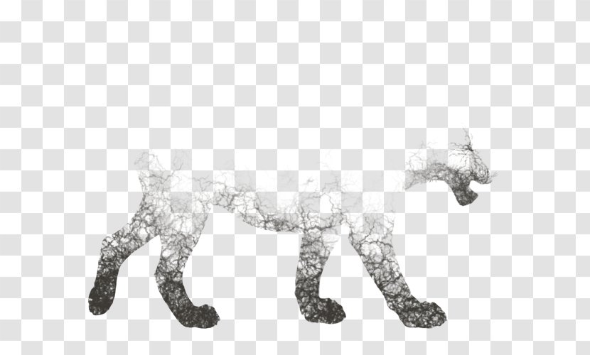 Lion YouTube Cat Dog Canidae - Animal Figure - Cobweb Transparent PNG