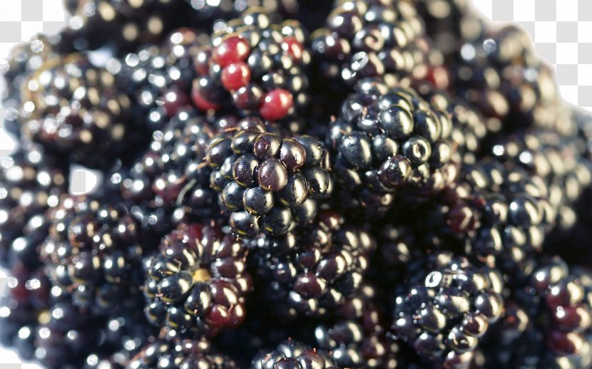 Tea Frutti Di Bosco Food Fruit Defecation - Raspberry Transparent PNG