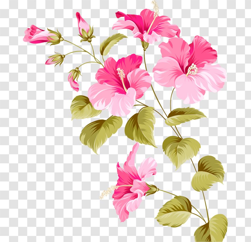 Flower Hibiscus Euclidean Vector Plant - The Arts - Flowers Transparent PNG