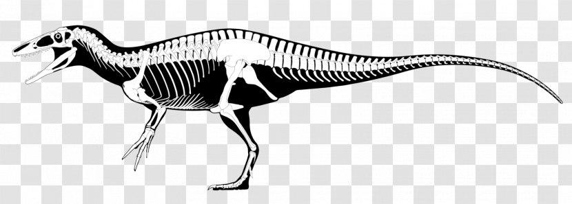 Megaraptor Australovenator Fukuiraptor Tyrannosaurus Dinosaur - Animal - Reconstruction Transparent PNG