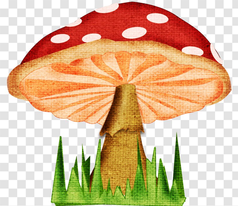 Mushroom Fungus Drawing - Search Engine - Cartoon Big Mushrooms Transparent PNG