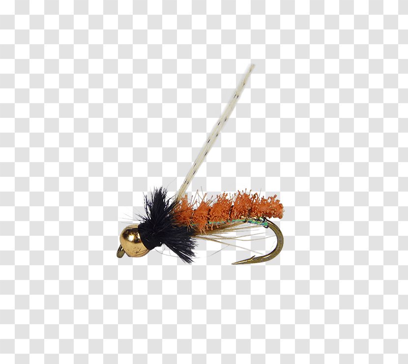 Fly Fishing Insect Nymph Bead Transparent PNG