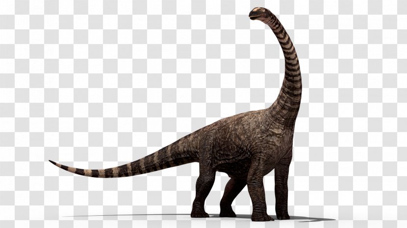 Dinosaur Stegosaurus - Organism Transparent PNG