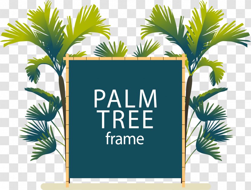 Date Palm Arecaceae Euclidean Vector - Arecales - Tree Small Blackboard Sign Plate Transparent PNG