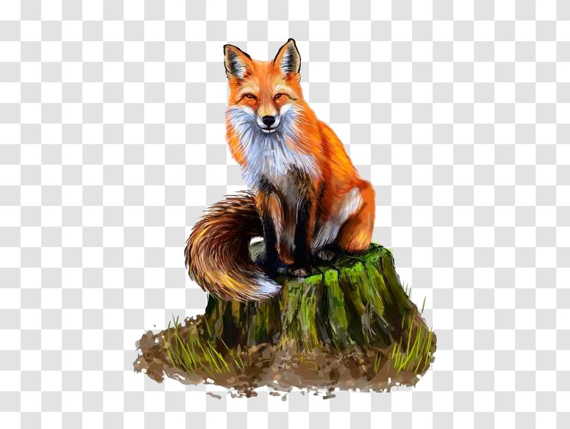 Red Fox Drawing Painting - Visual Arts Transparent PNG