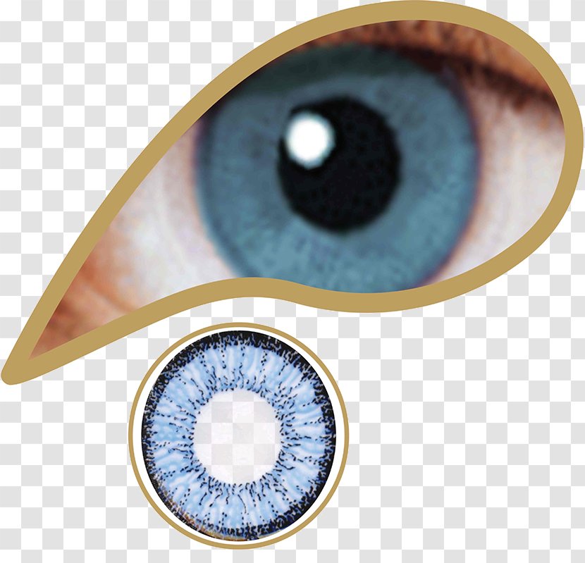 Special Effects Halloween Contact Lenses Green Color - Eye Transparent PNG