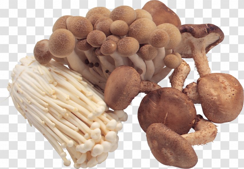 Pantothenic Acid Edible Mushroom B Vitamins - Health Transparent PNG