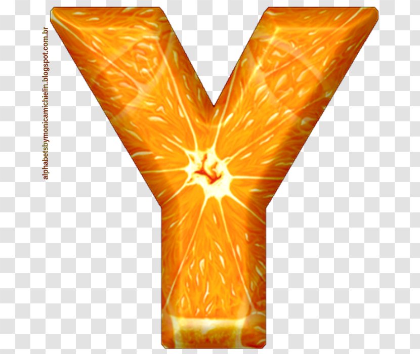 211 Orange County 2-1-1 Day-lily Yellow - Tree - Laranja Transparent PNG