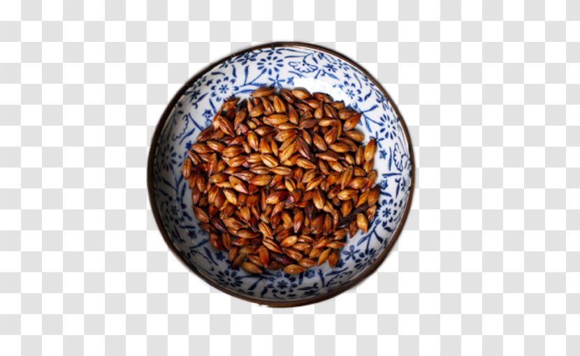 Barley Tea Buckwheat - Blue And White Bowl Of Transparent PNG