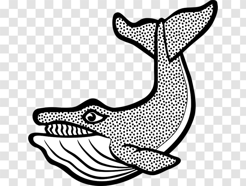 Las Ballenas Drawing Illustration Cetacea Mammal - Blue Whale - Beluga Clipart Transparent PNG