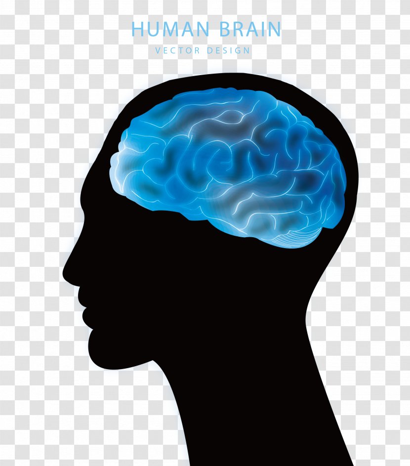 Blue Brain Project Agy Euclidean Vector - Silhouette Transparent PNG