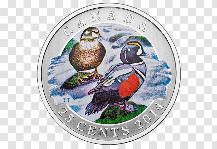 Duck Coin Quarter Cent Royal Canadian Mint - Currency Transparent PNG