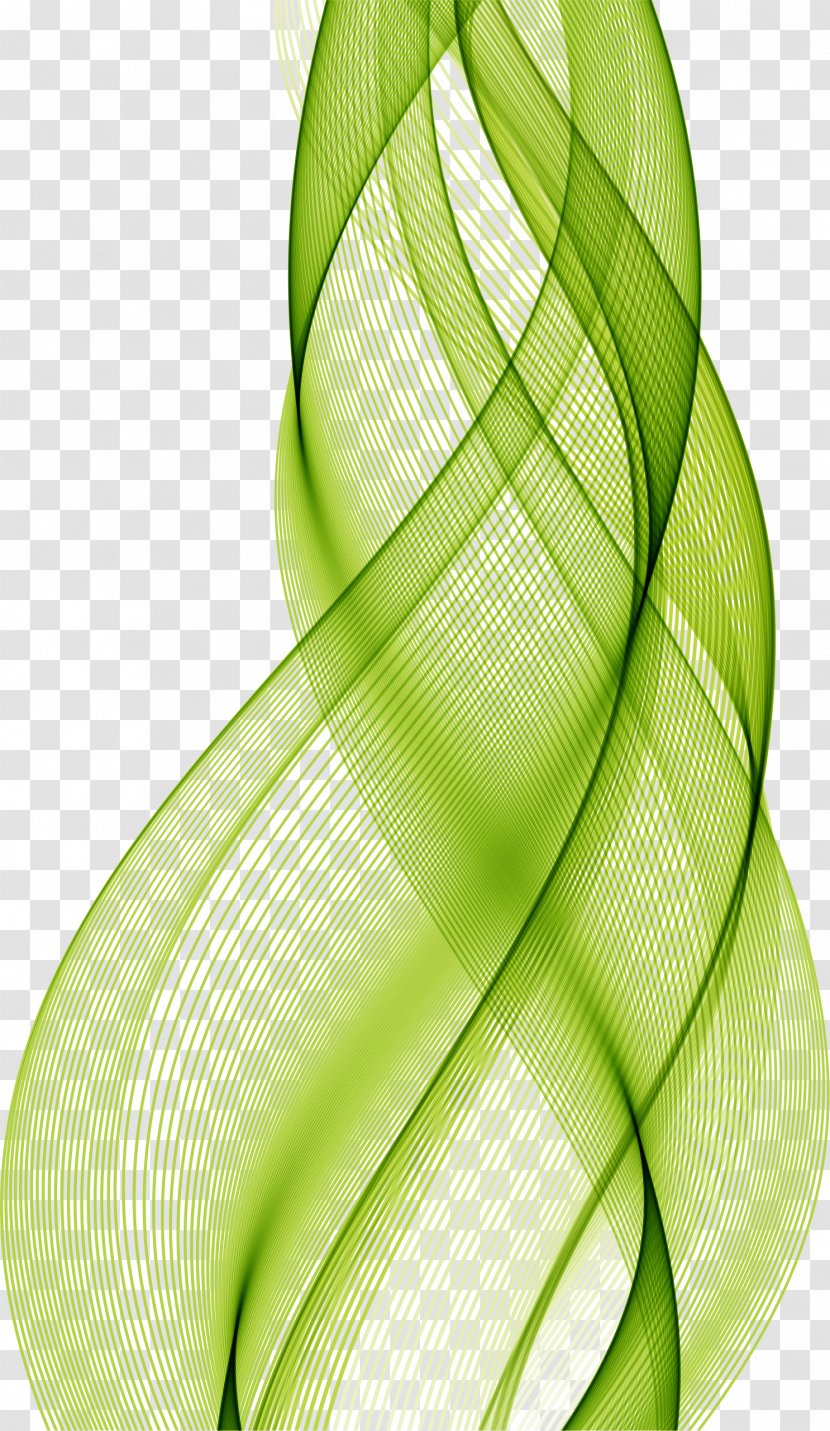 Green Lines Pattern - Produce - Leaf Transparent PNG
