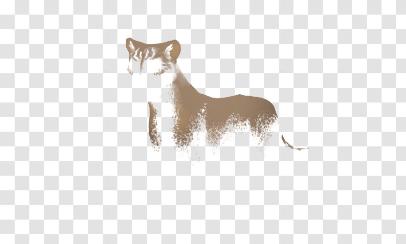 Whiskers Cat Red Fox Coyote Fur - Like Mammal Transparent PNG