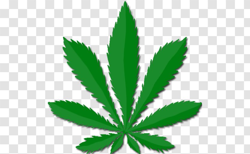 Medical Cannabis Smoking - Leaf Transparent PNG