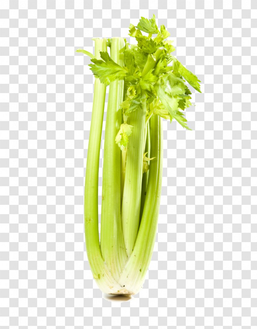 Wild Celery Leaf Vegetable Food Transparent PNG