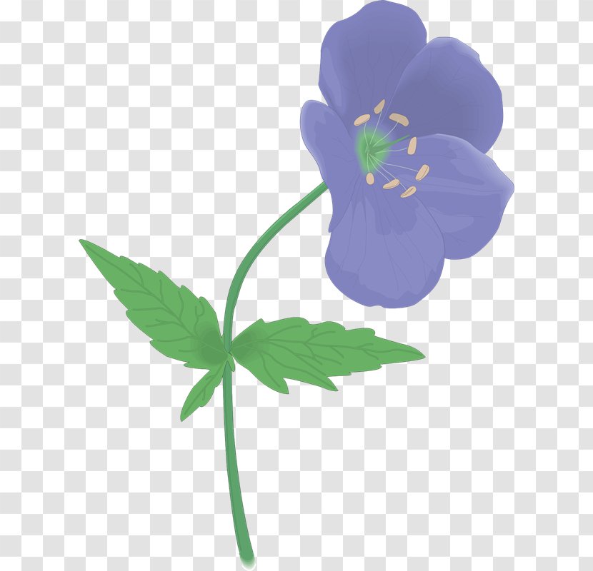 Stock Photography Fotosearch Clip Art - Flower - Fuc Transparent PNG