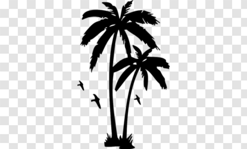 Wall Decal Arecaceae Tree Transparent PNG