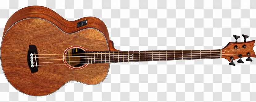 Acoustic Bass Guitar Steel-string - Cuatro - Amancio Ortega Transparent PNG