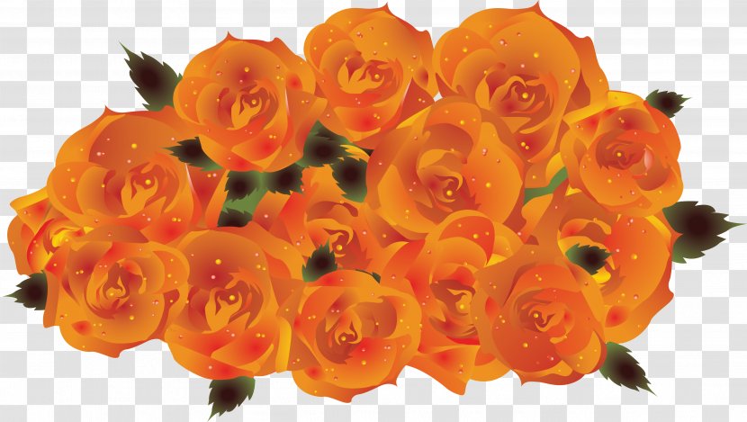 Garden Roses Orange Petal Clip Art - Flower Bouquet Transparent PNG