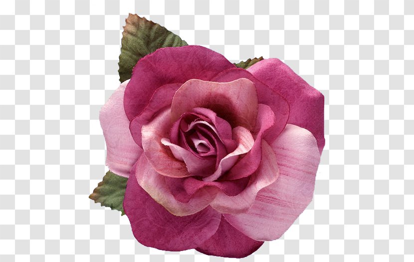 Flower Painting Rose - Flowering Plant - Creative Floral Design Transparent PNG