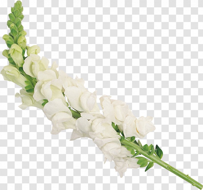 Cut Flowers Floral Design Flower Bouquet Artificial - Nosegay - Pearls Transparent PNG