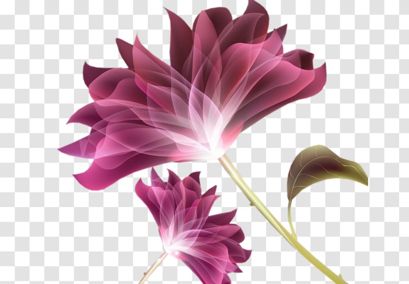 Cut Flowers Petal Rose Pink - Plant - Flower Transparent PNG