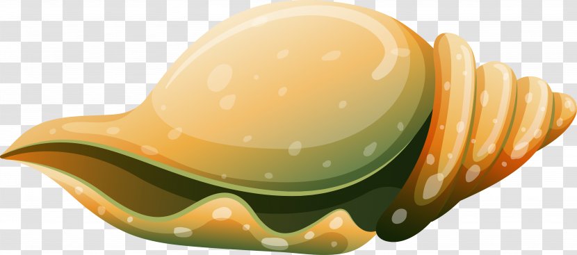 Euclidean Vector Computer File - Seafood - Snail Transparent PNG