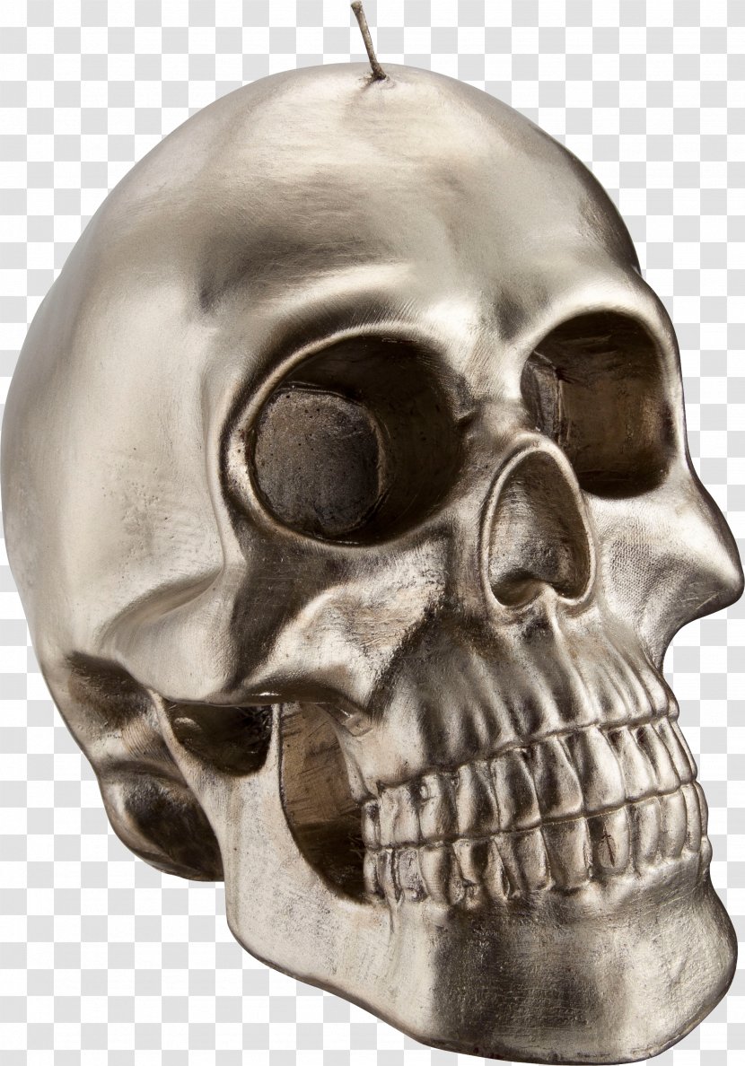 Calavera Skull - Halloween Transparent PNG