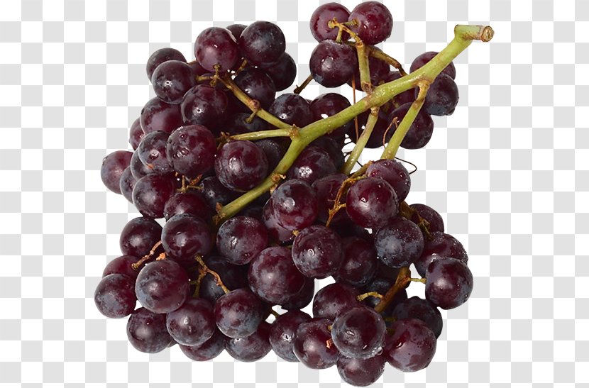 Grape Longman Dictionary Of Contemporary English Seedless Fruit Carménère Red Globe - Meaning Transparent PNG