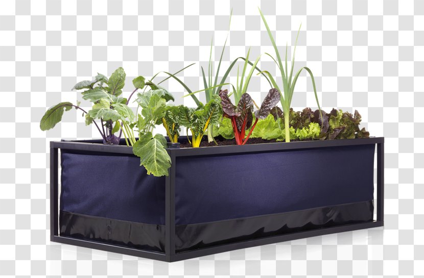 Urban Agriculture Raised-bed Gardening Food - Watering Cans - Wicking Bed Transparent PNG