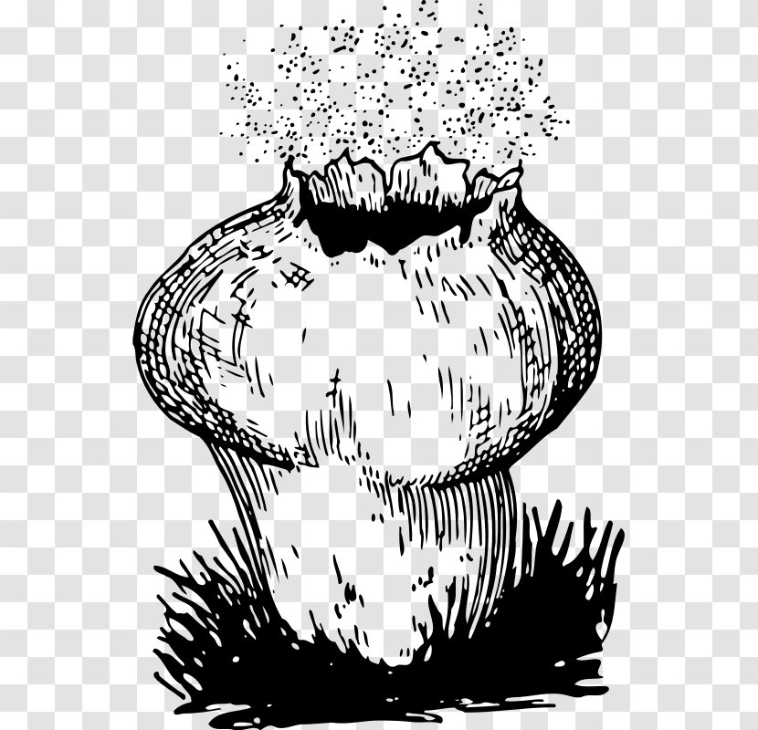 Fungus Spore Mushroom Puffball Reproduction - Watercolor - Fungi Transparent PNG